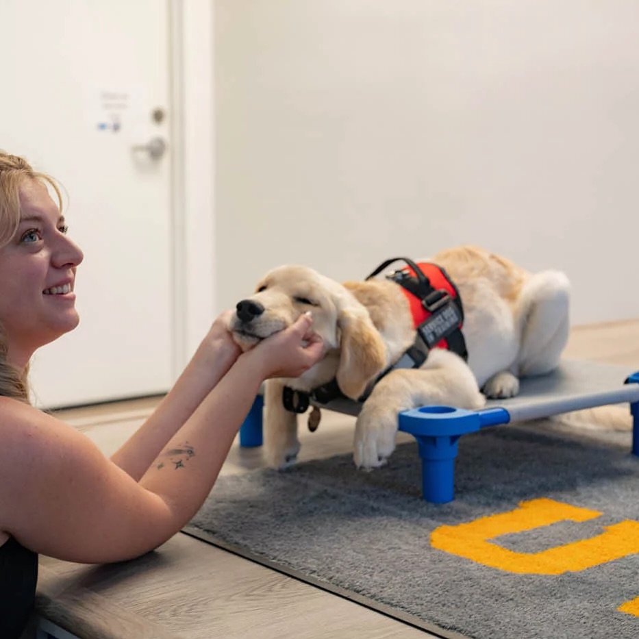 Why choose Dog Training Elite? Our training is a lifetime investment, we are committed to your long-term success, offering continued support and follow-up to ensure lasting results. Not only do we provide professional, high-quality training, but we are also value priced, making our services accessible and budget-friendly without compromising on excellence.

With our simplified and customized approach, we work around your schedule, requiring only 15 minutes of practice each day to reinforce training, making it convenient and effective for busy owners. 🎯

