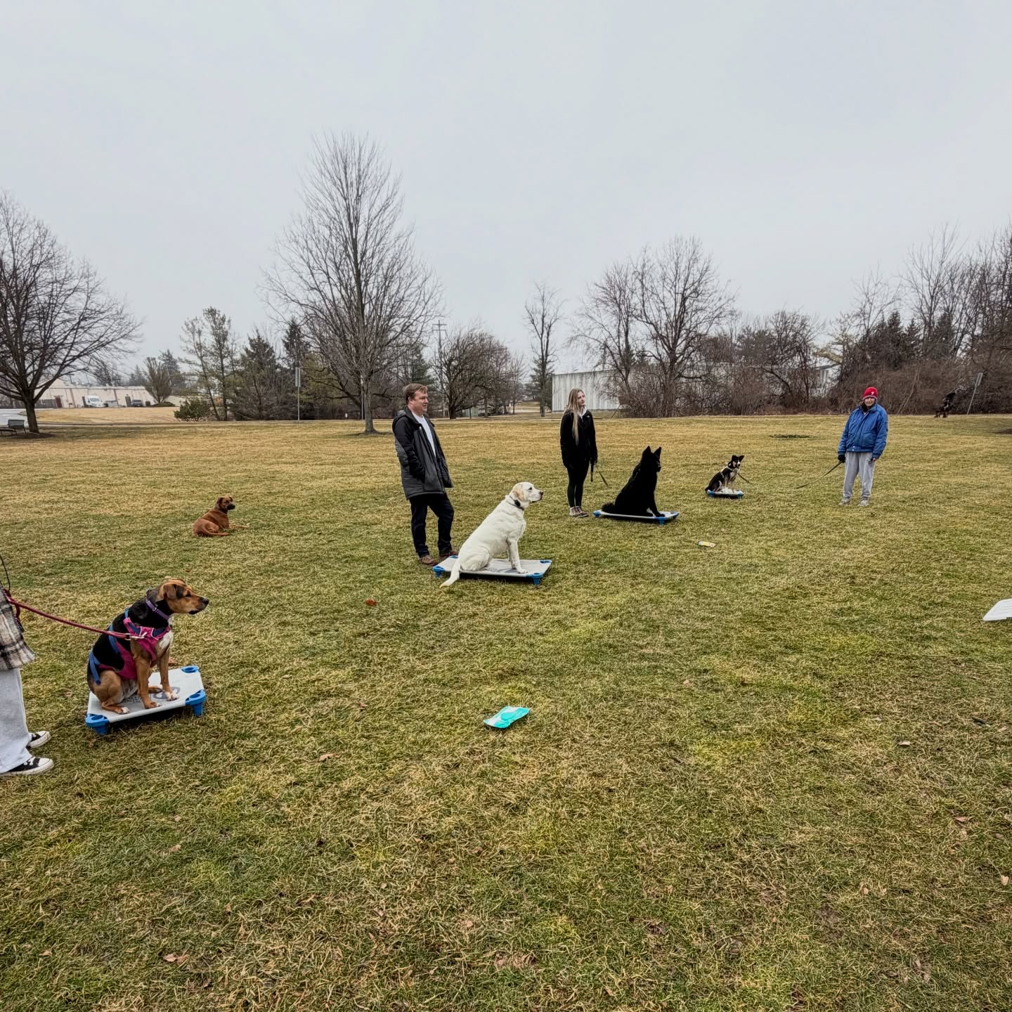 Look at those pups putting in the work 🦮 Hope you all had a paw-some weekend!

