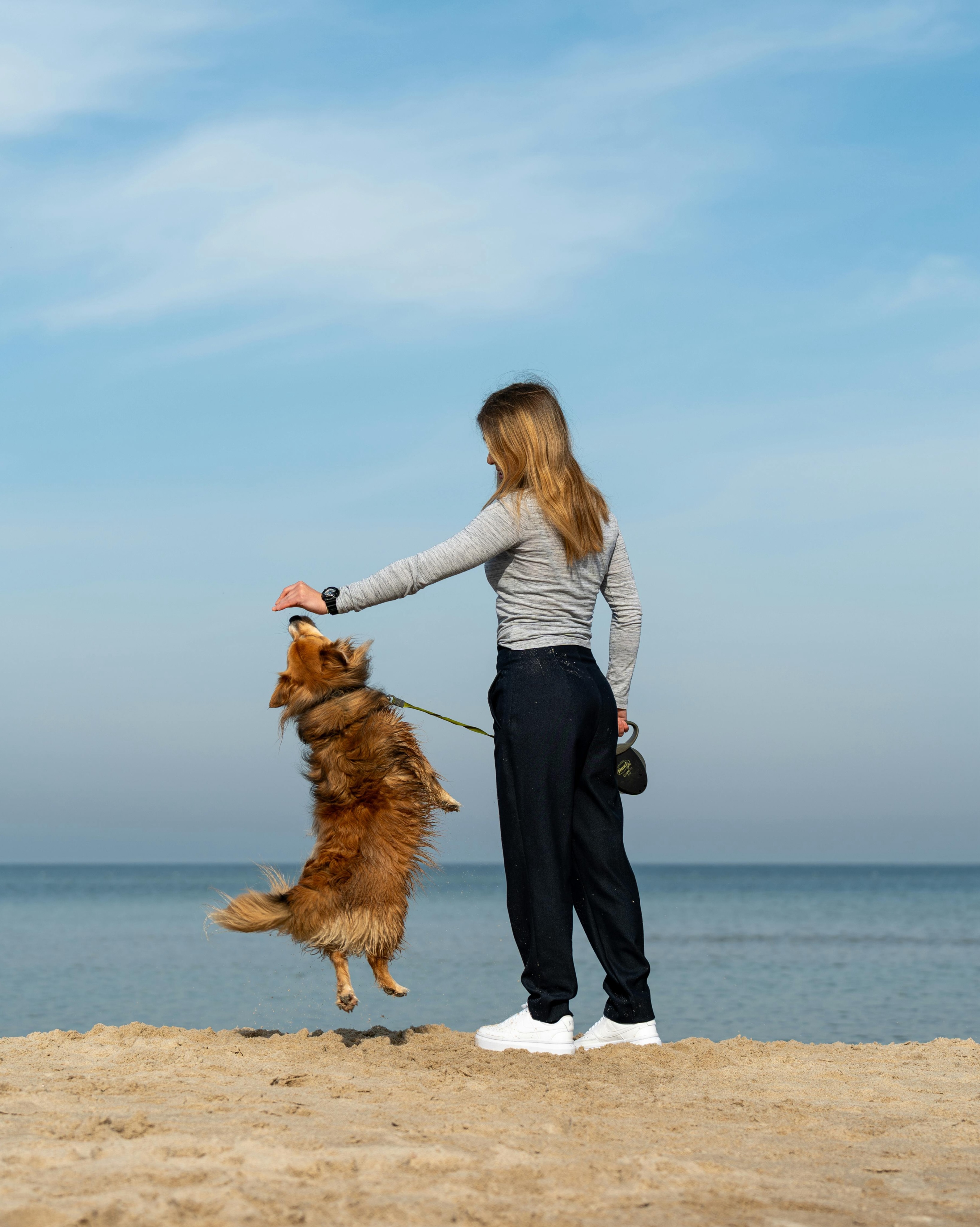 Happy Mother&rsquo;s Day to all of our amazing dog moms! 🐾💙


