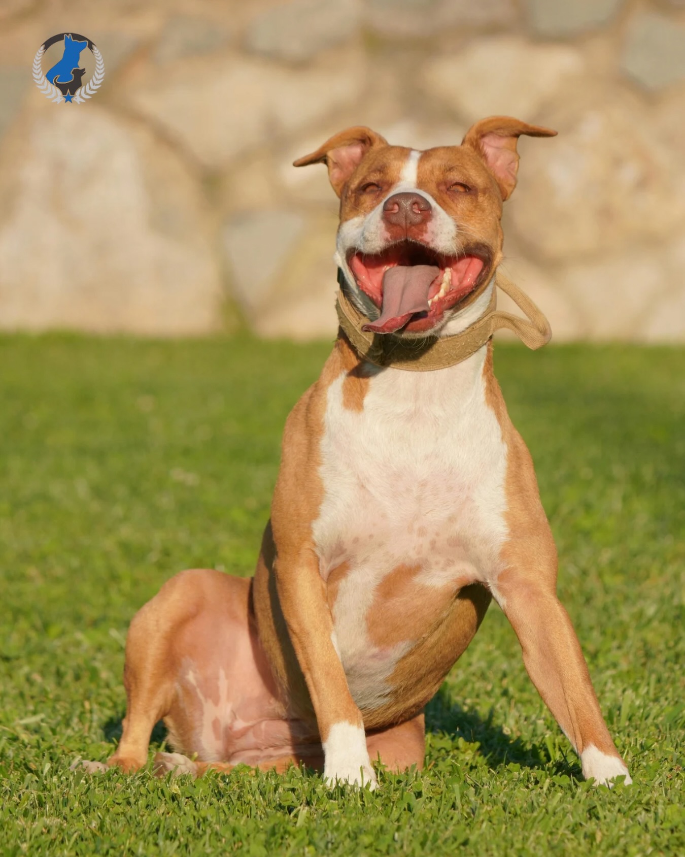 Happy Friday! 🎉🐕

