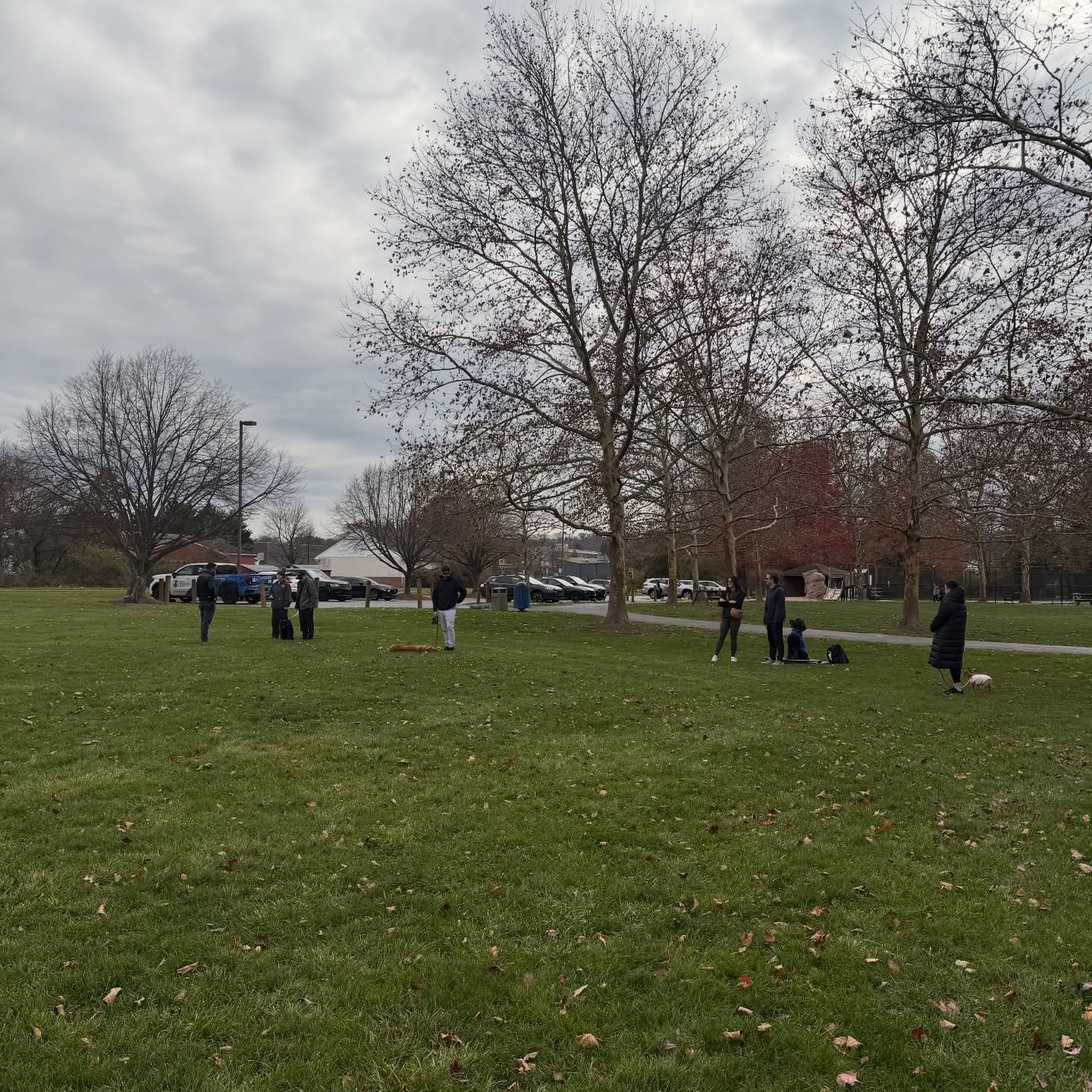 Our group classes create structured, confidence-building training for both dogs and owners. 🐶

Your pup will:
• Build stronger social skills
• Work within a supportive training environment
• Strengthen the dog-owner bond
• Reinforce essential obedience
• Learn to handle real-world distractions
• Benefit from focused coaching in small groups

To get started, tap the link in bio to request a free assessment. 🔗

