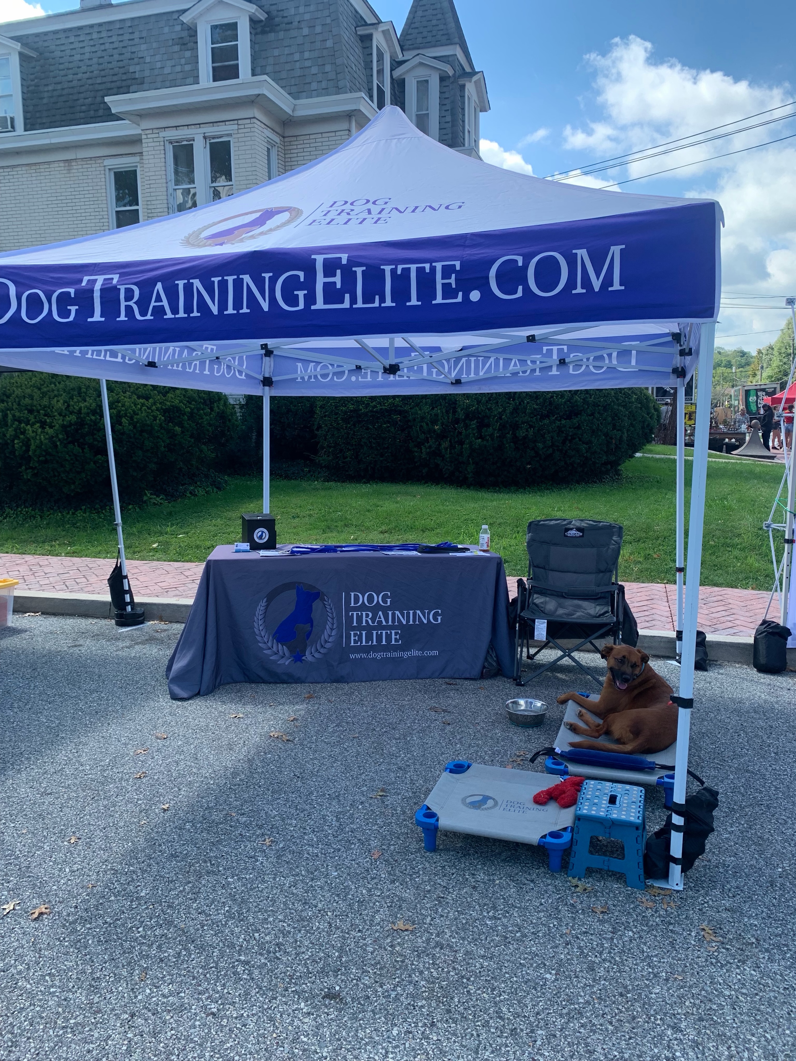 We had a blast getting to meet you all this past weekend at @themushroomfestival! 🍄🐾 Ready to get your dog&rsquo;s training journey started & located near or along the Main Line? We&rsquo;d love to chat! From obedience and behavior training to service dog training, we&rsquo;re here to help you build the skills for success.

Tap the link in bio or DM us for more info. 