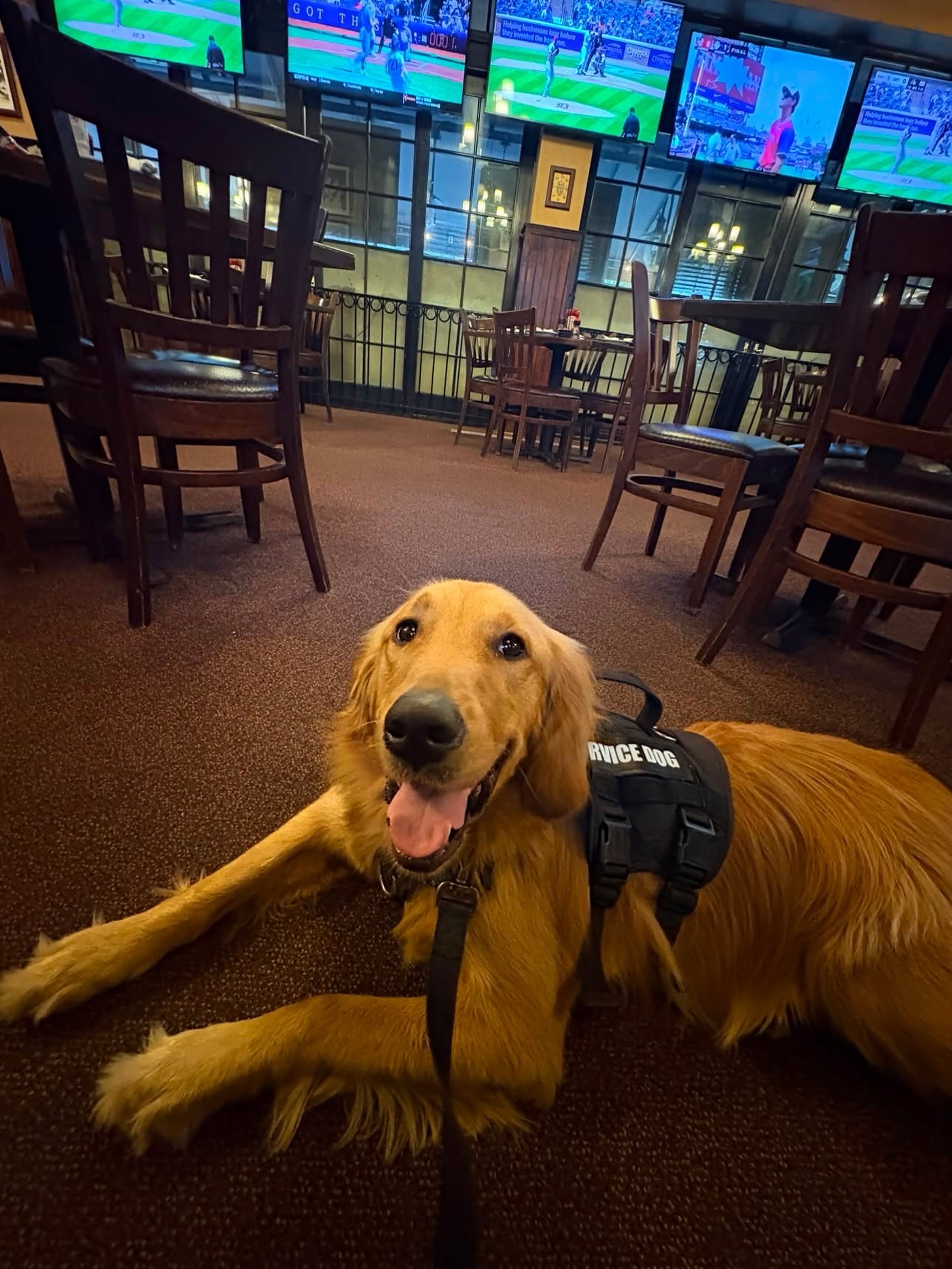 Way to go, Nola! We love seeing our service dog graduates putting their training into action, confidently accompanying AND behaving in public settings like restaurants! 👏

Our service dog training is tailored to each handler&rsquo;s needs, creating dependable service dog teams built for long-term independence and confidence wherever life takes them.

Ready to get started? Tap the link in bio or DM us for more information. 