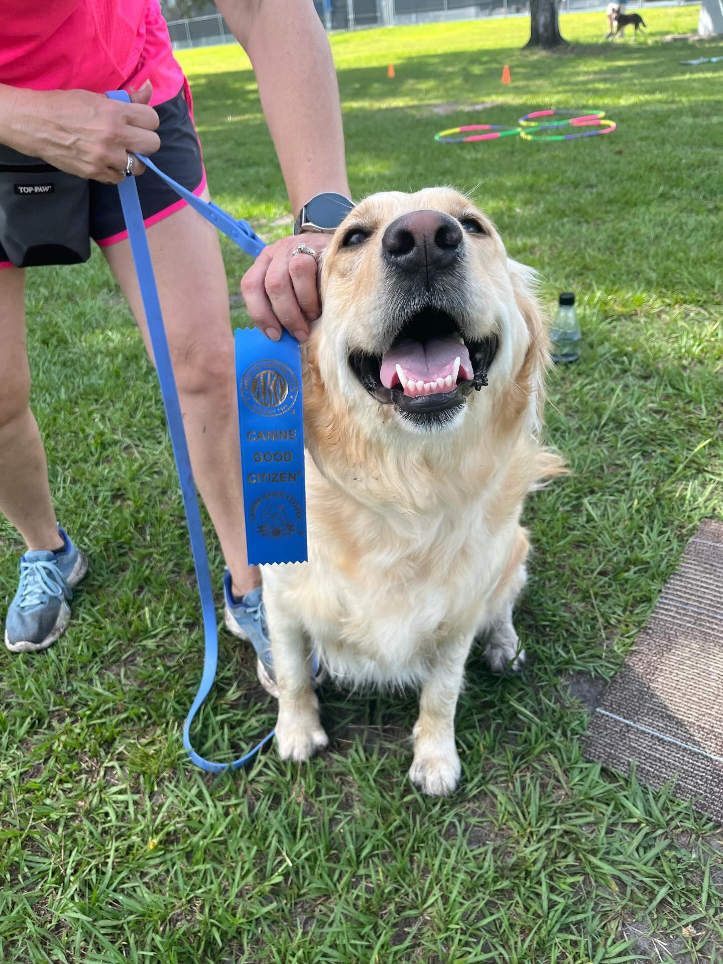 Congratulations to Sally Mae for passing the Canine Good Citizens Test!!🎉🎉🎉