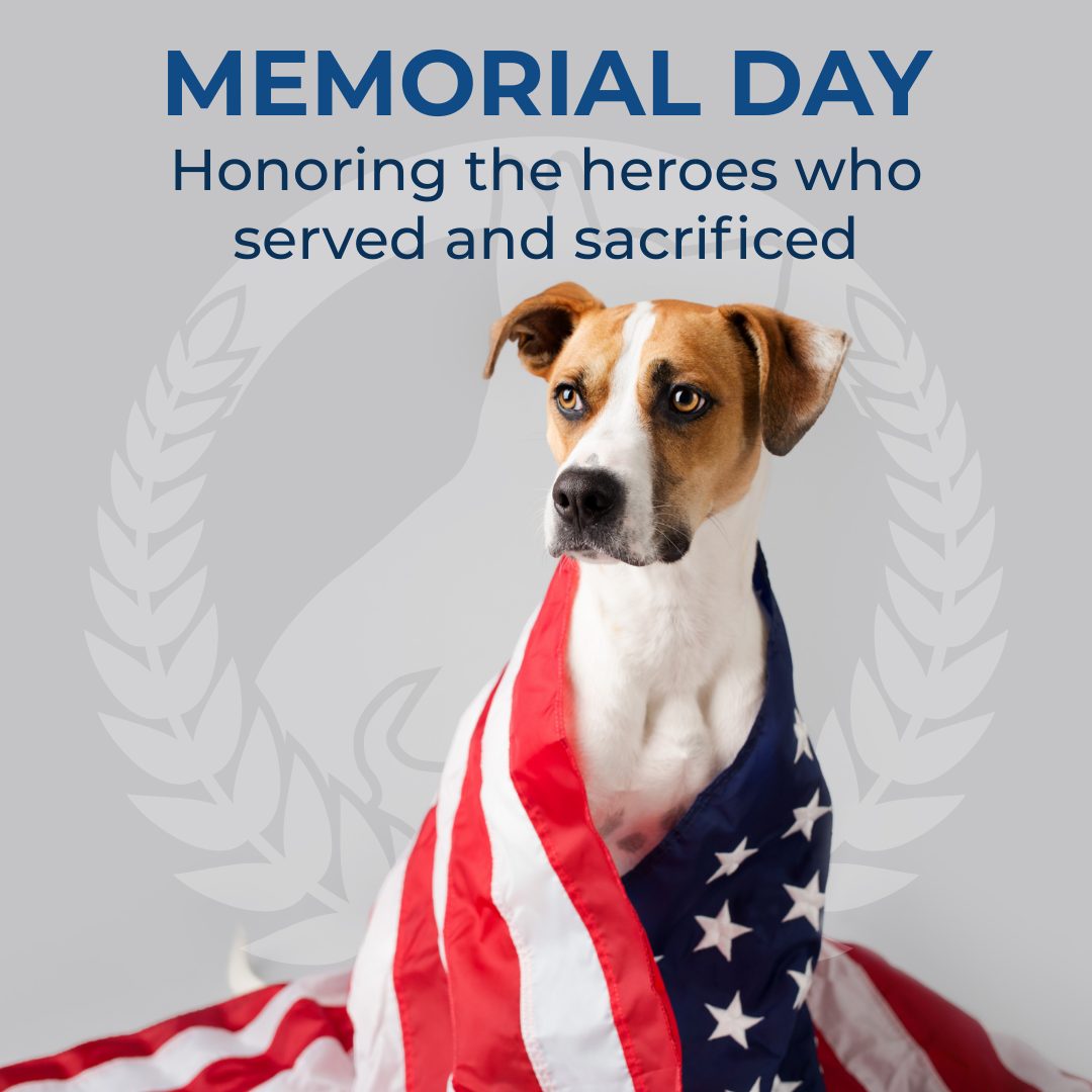 Today, we honor and remember the brave men and women who gave their lives for our freedom.

Their courage, selflessness, and dedication will never be forgotten.

