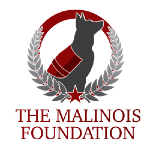 The Malinois Foundation - Dog Training Elite Boulder