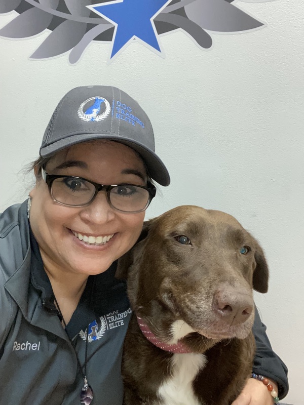 Dog Training Elite's Owner Rachel and her dog Sophie.