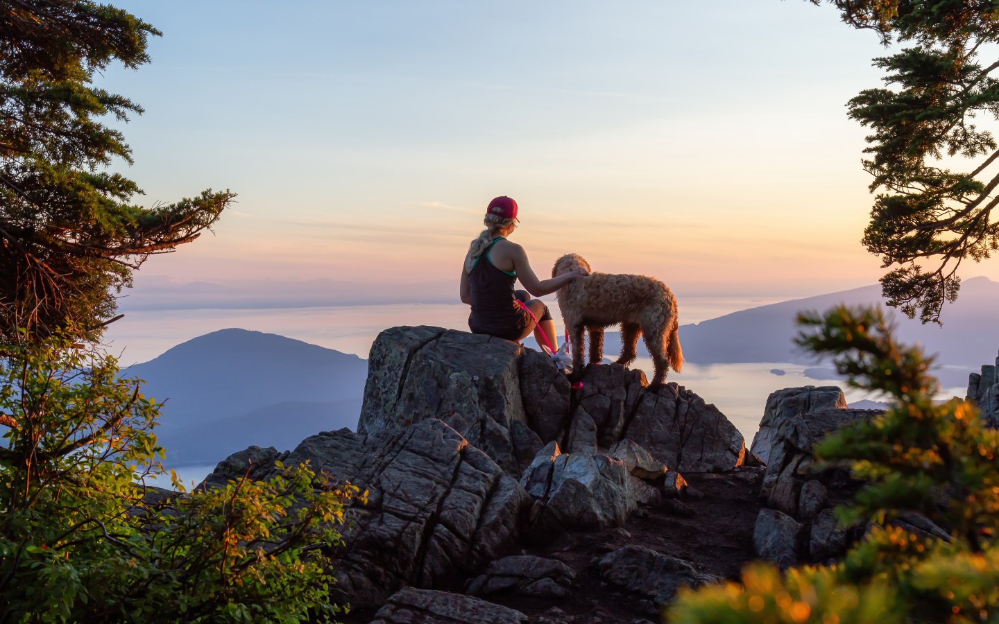 A dog and their owner on an outside adventure - get elite dog training in Boston, MA with Dog Training Elite.