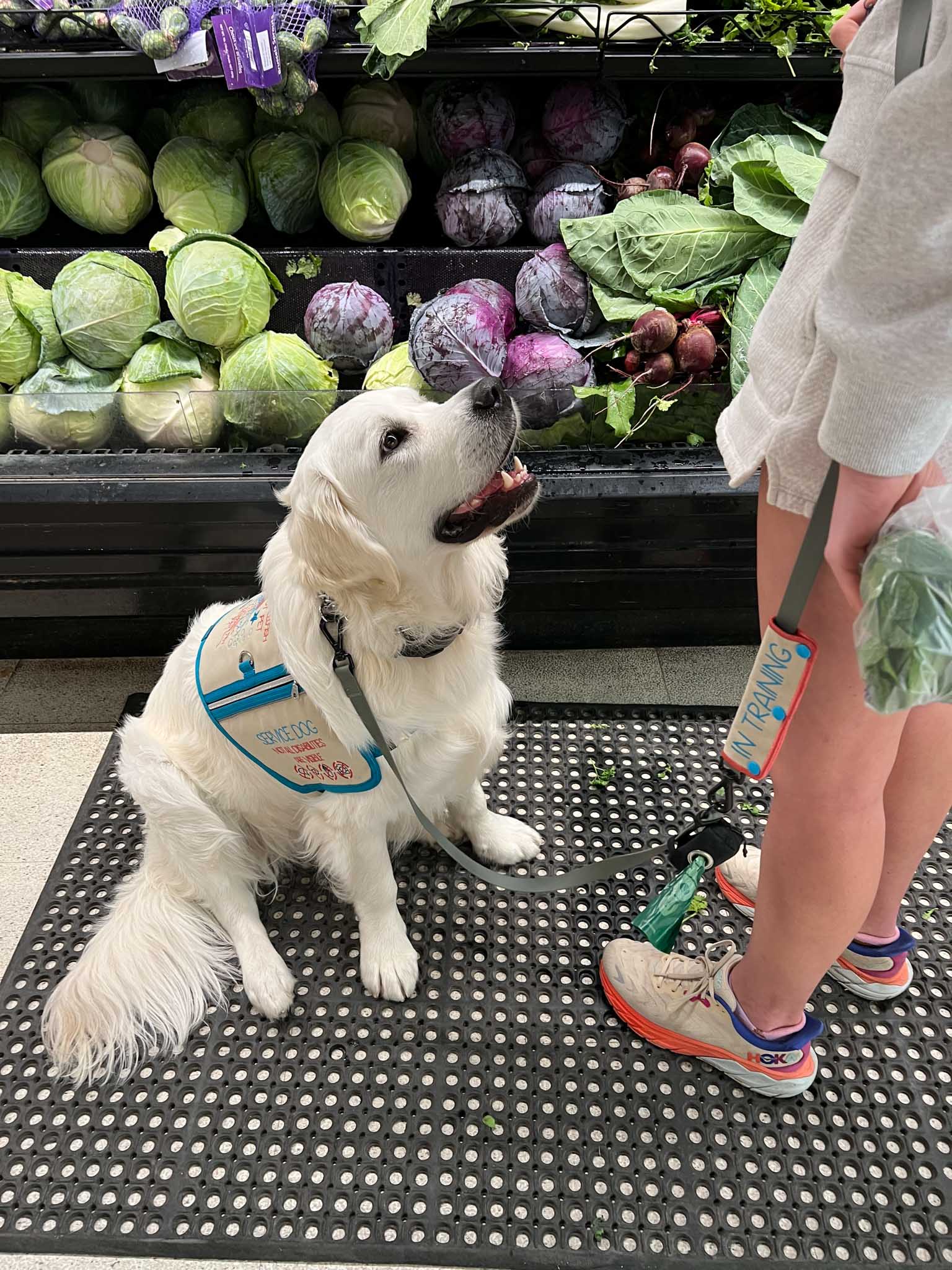 An image of Josie and Wallace together in a supermarket.