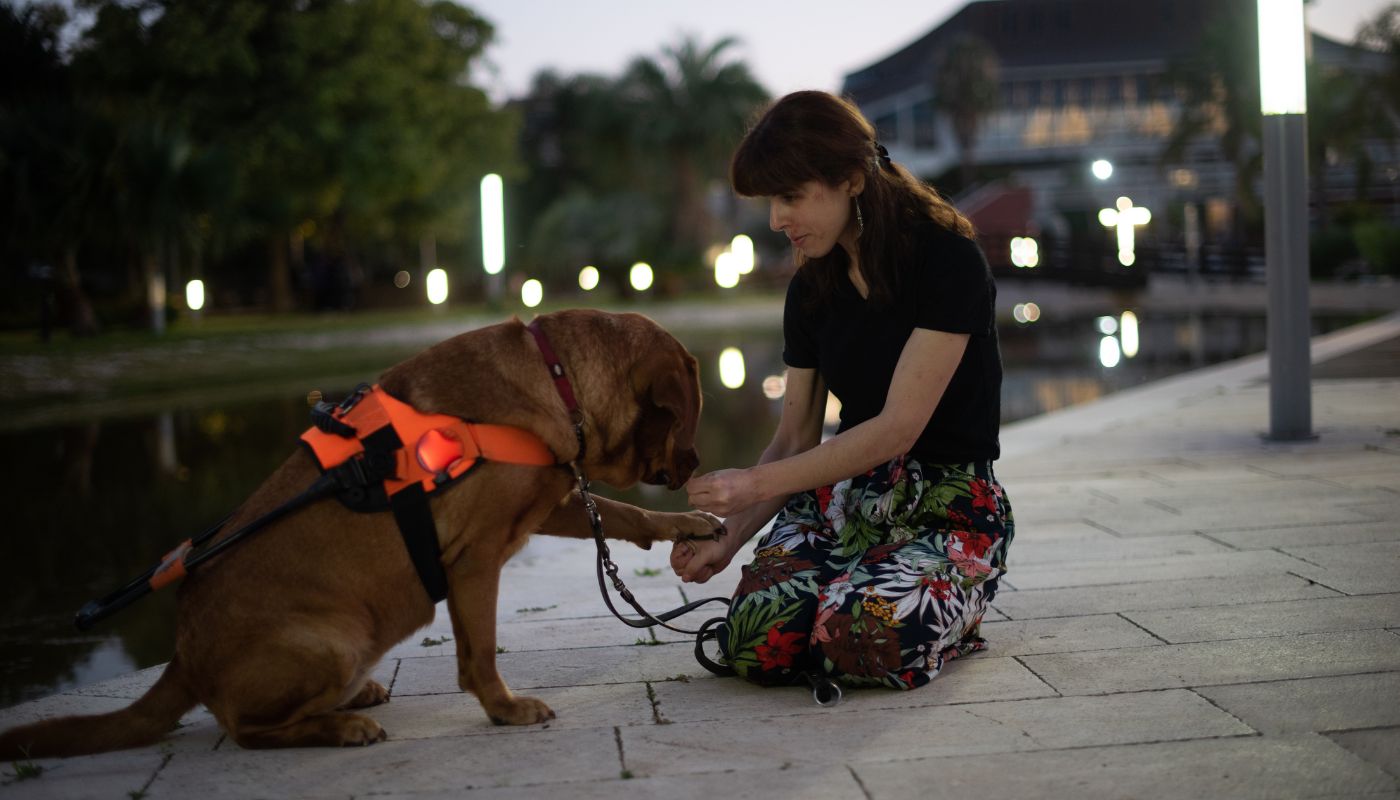 A dog owner and their seeing eye dog - contact Dog Training Elite of Southwest Florida today for tips on training for service dogs!