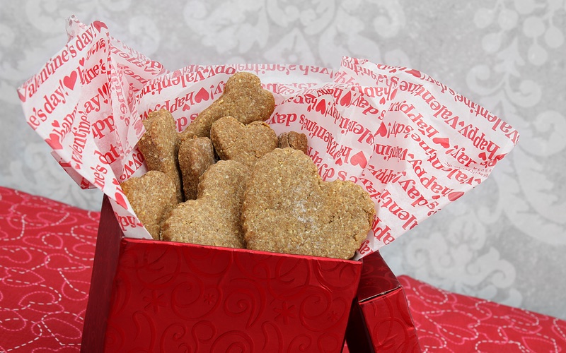 Valentine's day dog treats in red bag in South Bend / Elkhart.