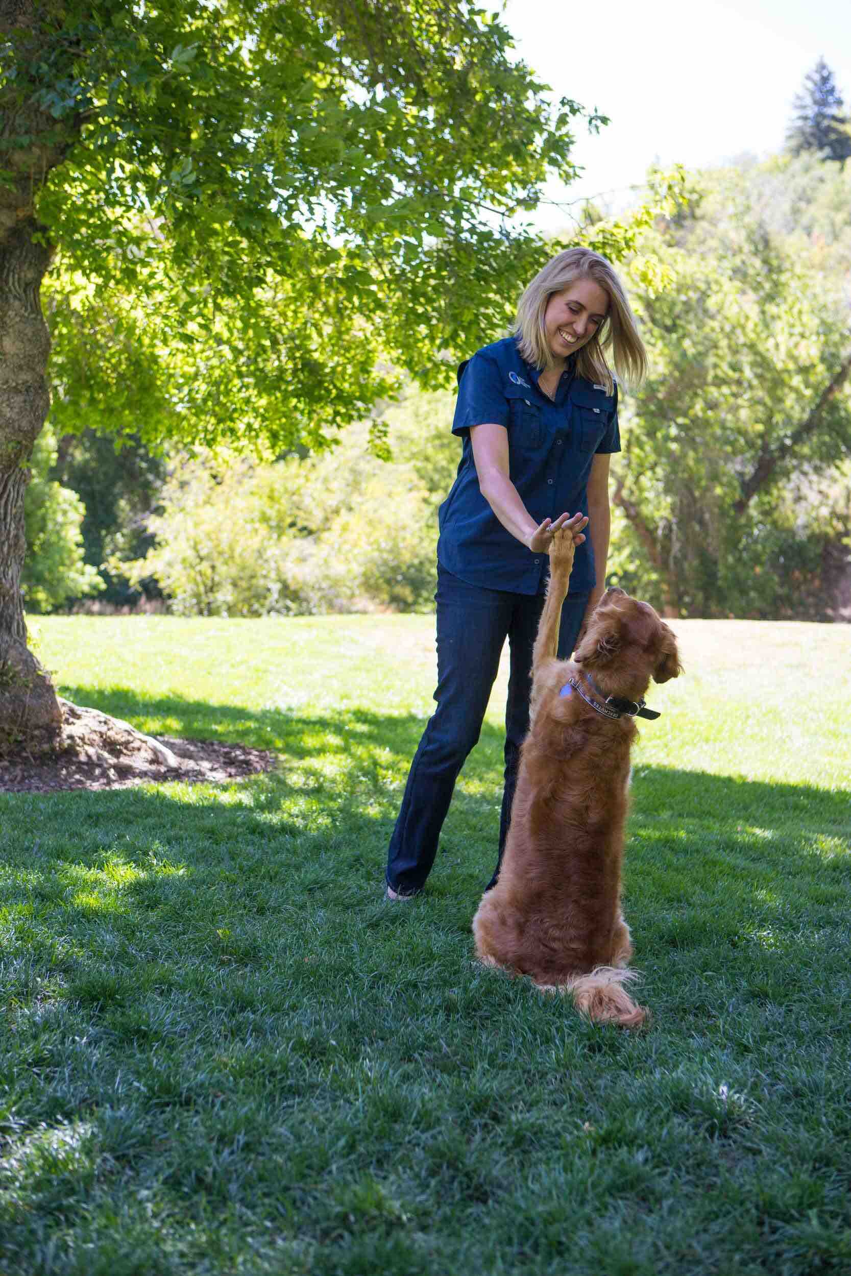 Dog Training Elite uses classical conditioning as one of their dog training techniques in Albuquerque / Santa Fe.