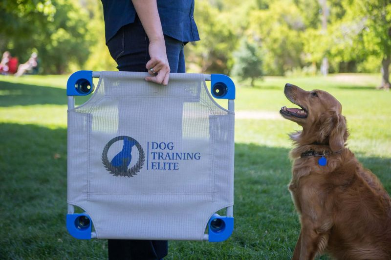 Dog Training Elite has the best dog trainers near you in Las Vegas that use positive reinforcement training programs.
