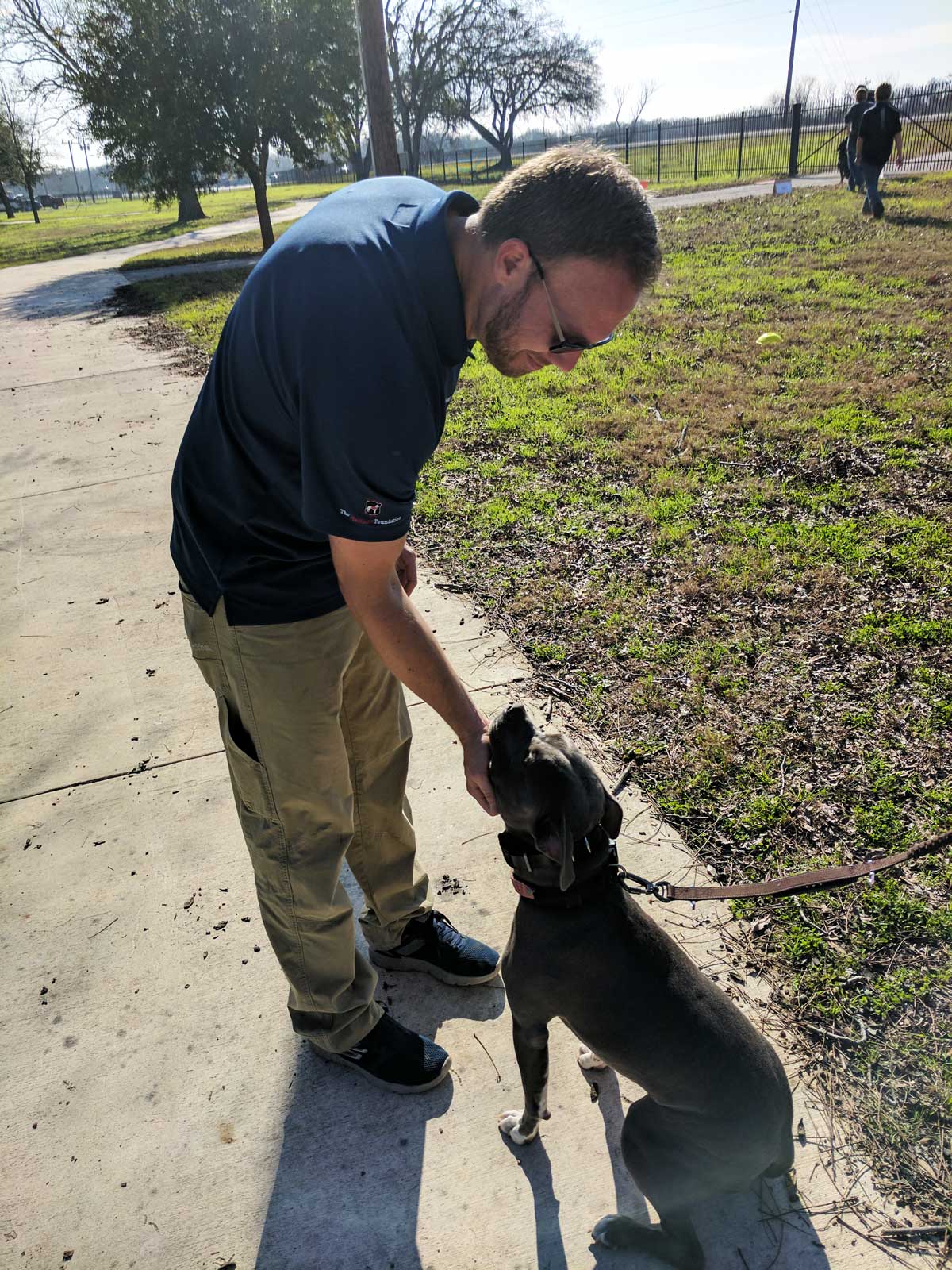 Dog Training Elite offers expert aggressive dog training programs near you in Savannah.