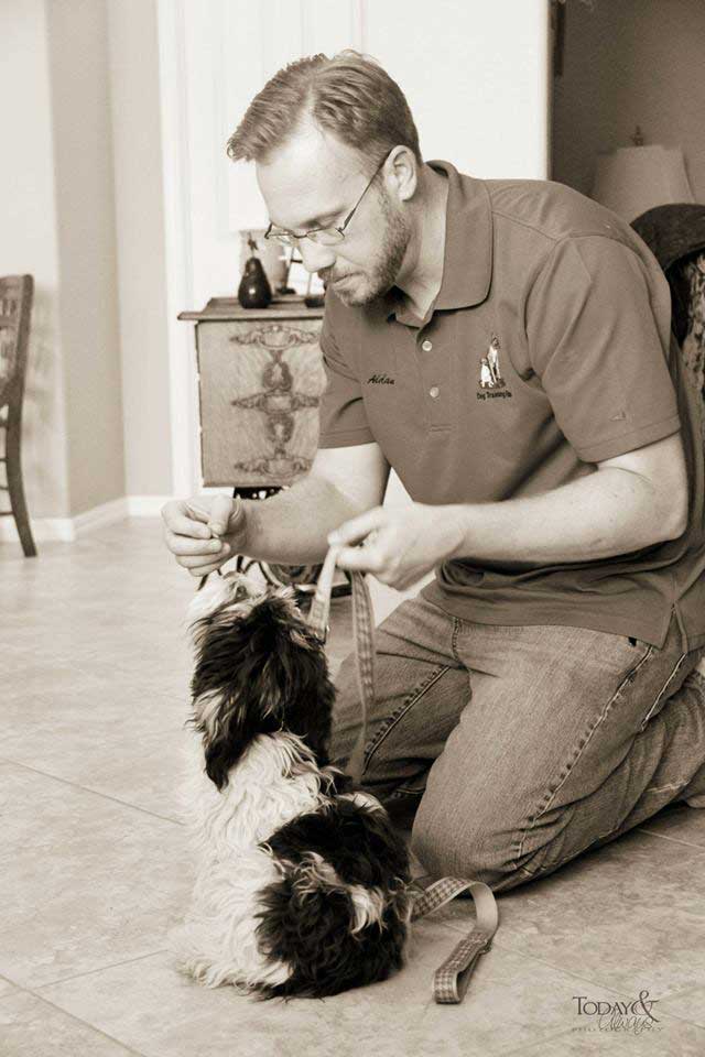 Why Choose In-Home Dog Trainers in Pensacola
