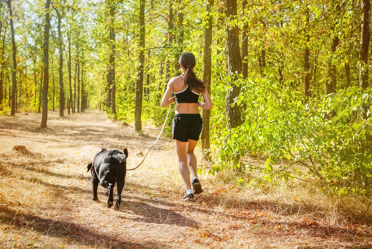An owner and pup go for a safe, scenic run thanks to help from Dog Training Elite Howard & Anne Arundel Counties's training.