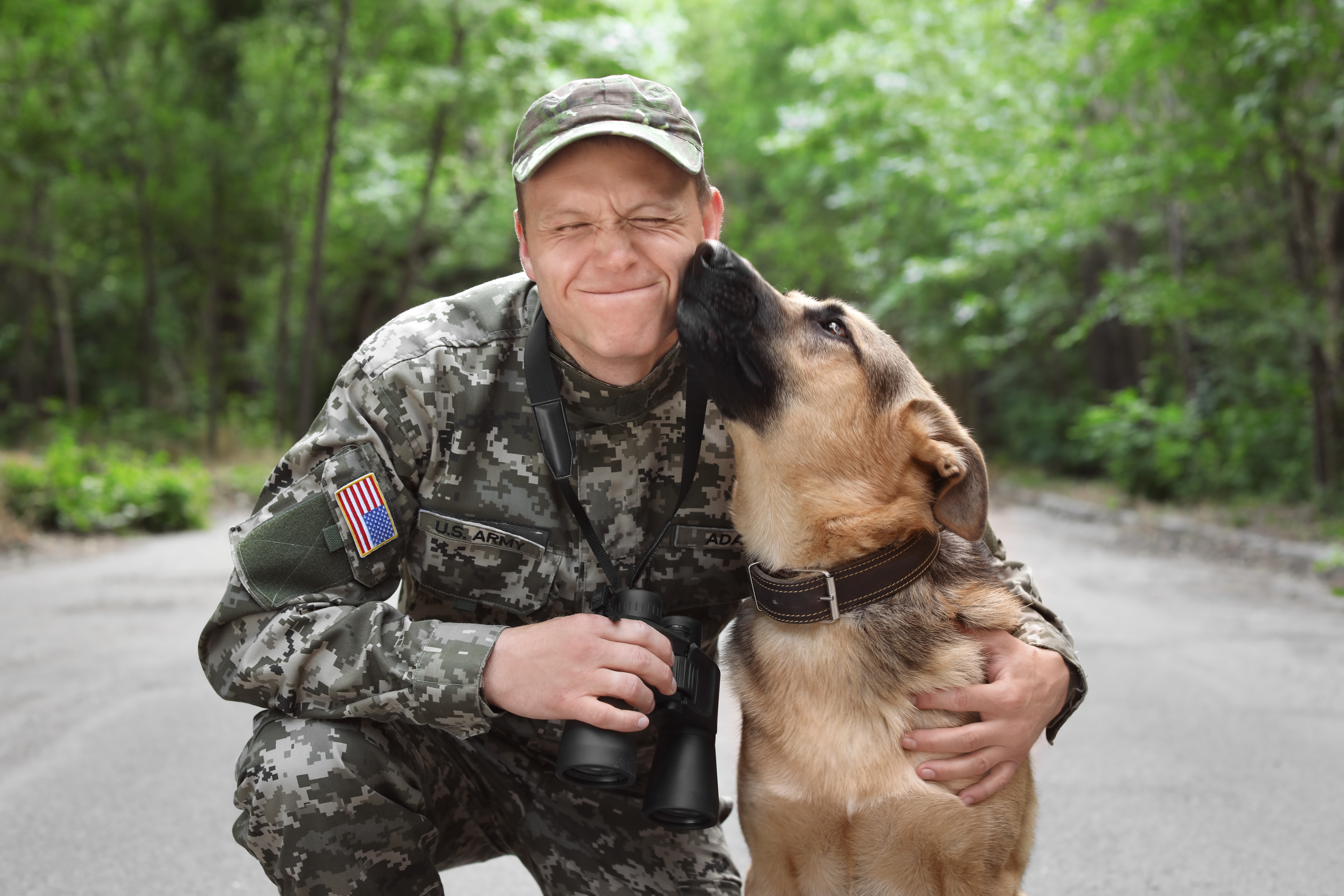 Dog Training Elite Michiana military and veteran discount.