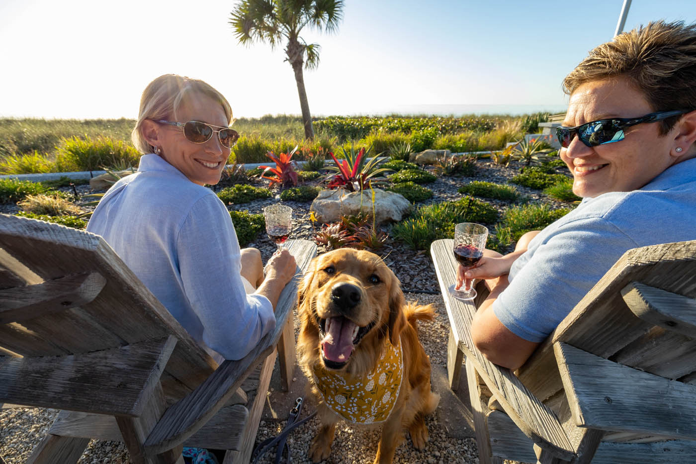 An adorable golden retriever at a show demo with Dog Training Elite in Tampa.