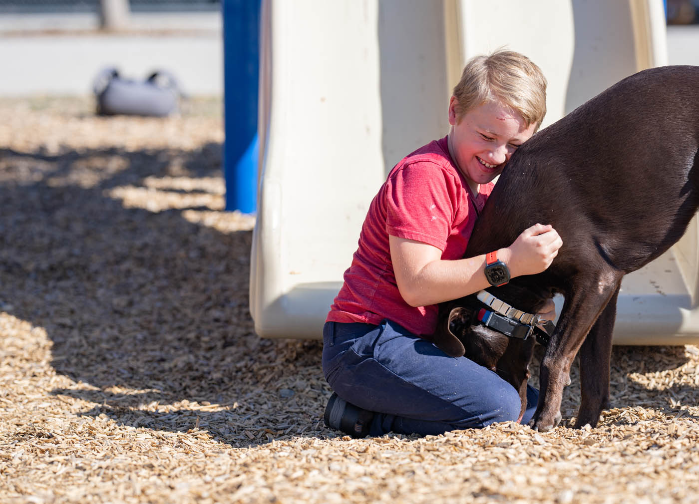 A young boy with his service dog in your local area, {fran_state_abbrev}.