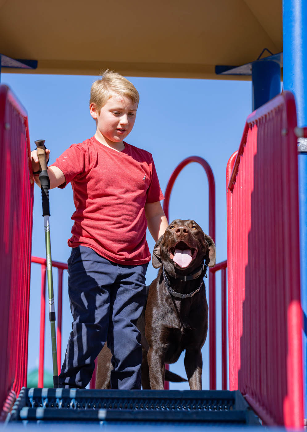 A boy on the playground and his mobility support service dog in Tulsa, OK.