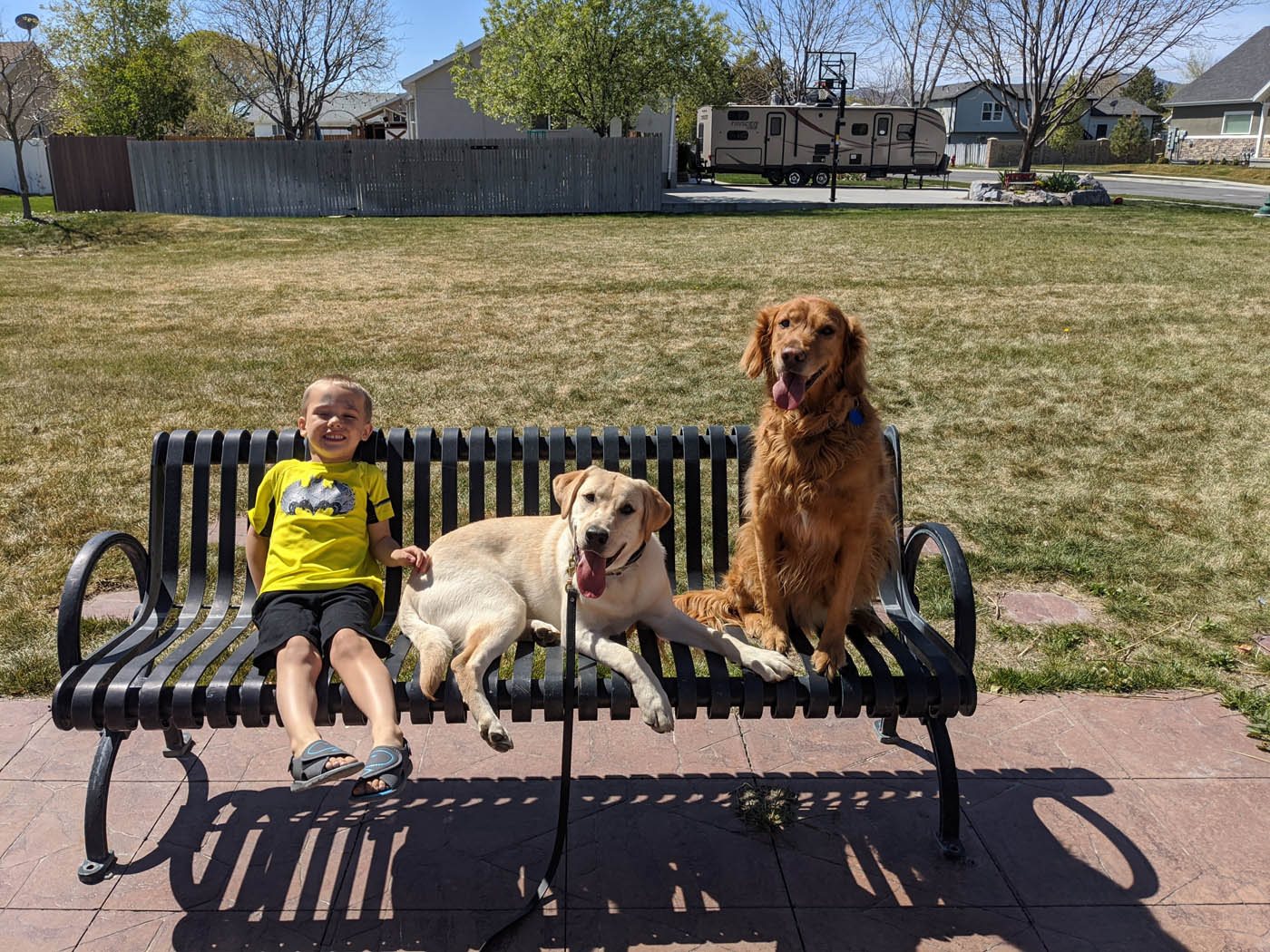 A child sitting on an outside bench with his dogs in Lowell, MA.