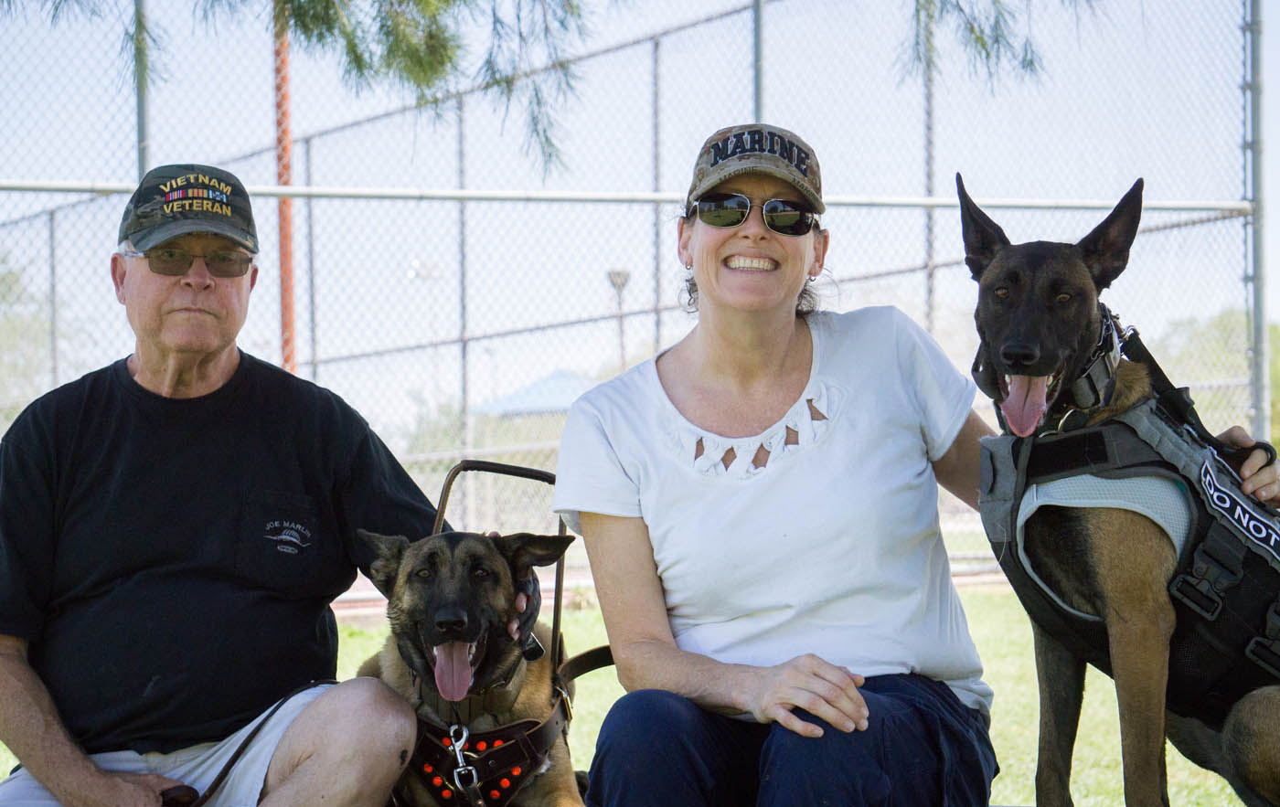 Two PTSD service dogs trained by the experts at Dog Training Elite in Boston Metro sitting with their owners.