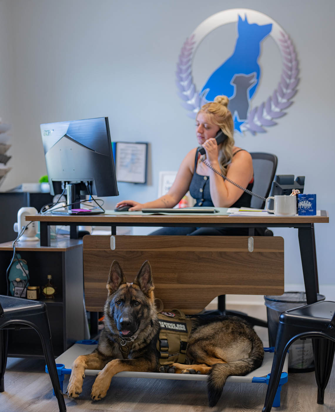 An expert Dog Training Elite trainer with a dog in Scottsdale.