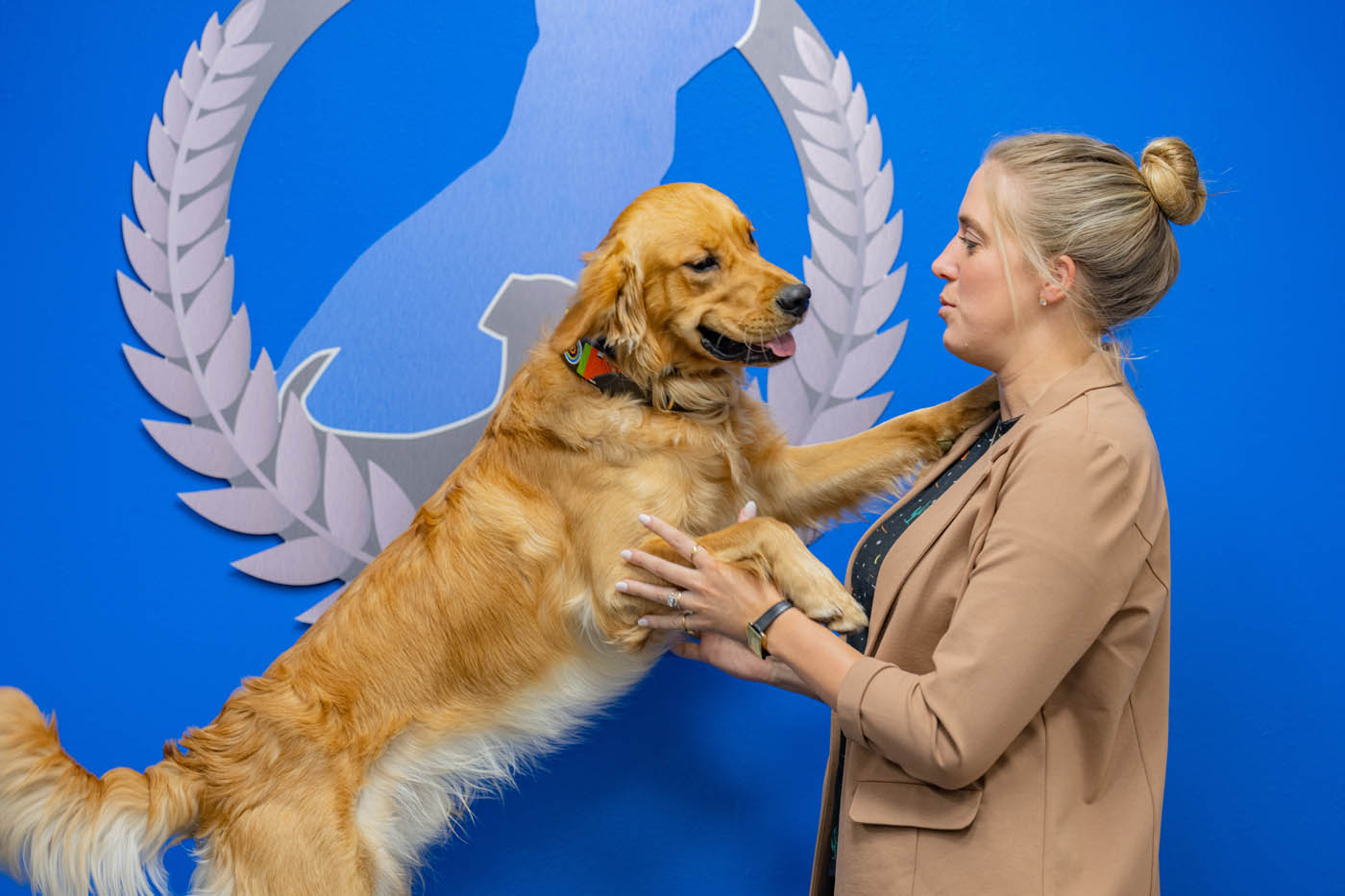 Dog Training Elite franchise owner Kelley, showing off the amazing skills of a trained pup.