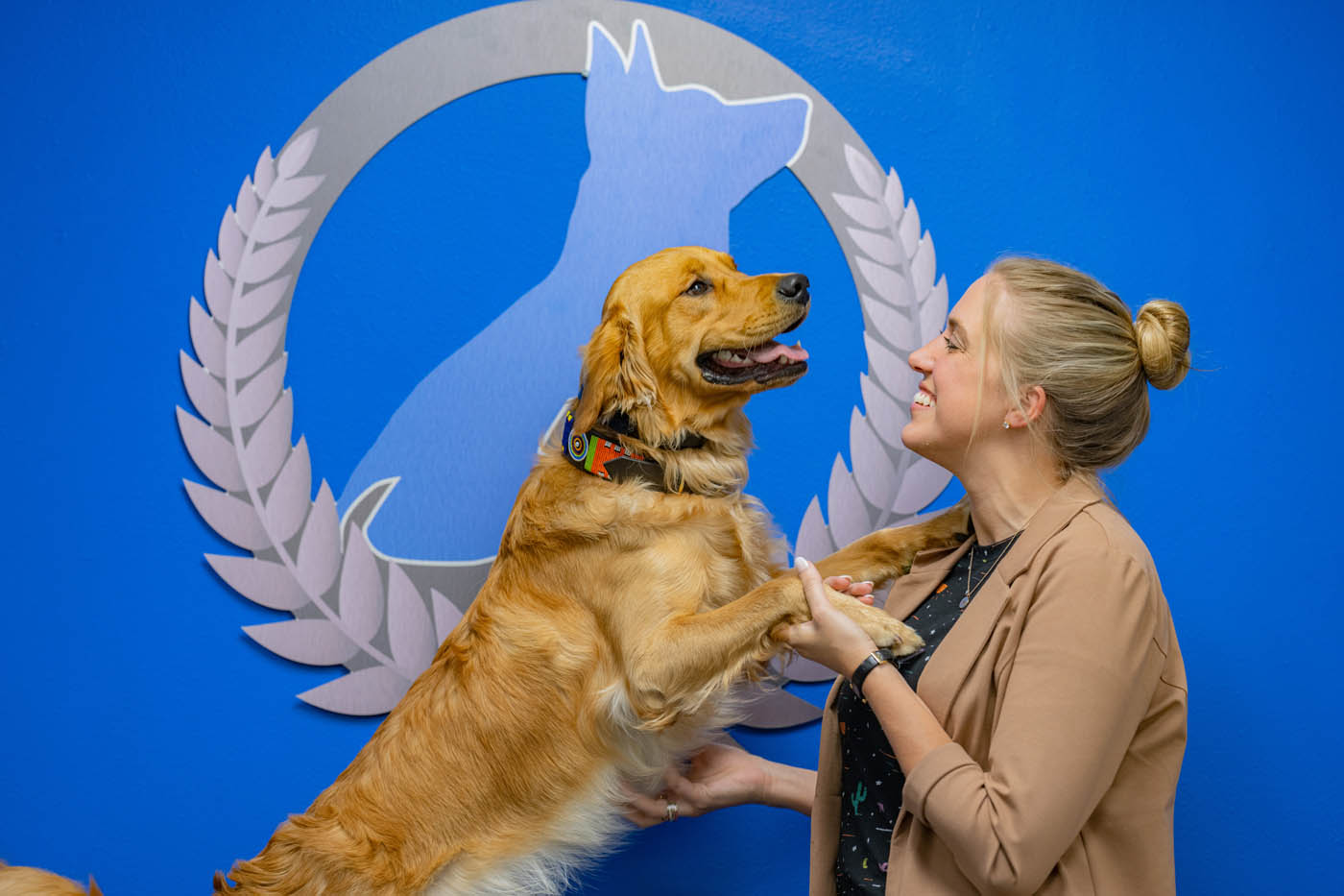 A well trained dog and their owner posing in front of a Dog Training Elite wall.