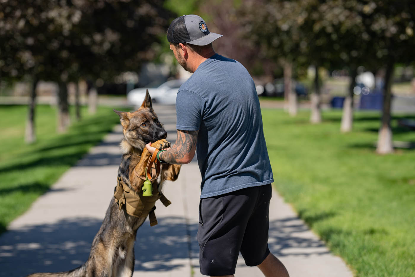 A dog owner playing with his german shepard, learn more about our Pensacola classical conditioning dog trainers.