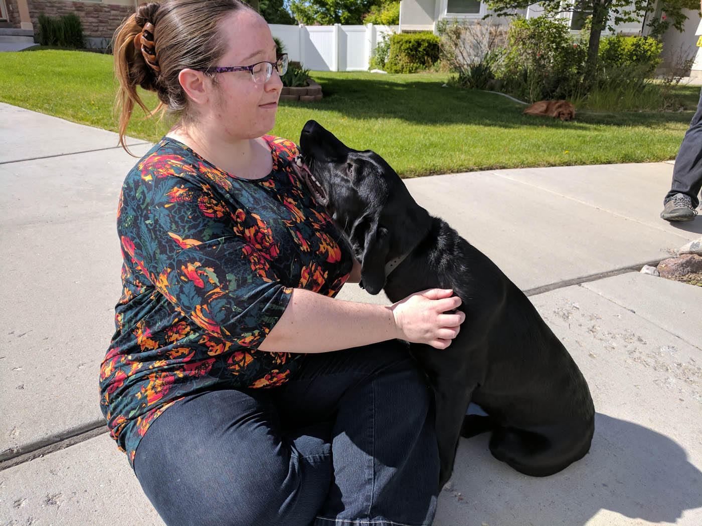 A person and their dog - get training benefits when you choose Dog Training Elite in Mesa, AZ.