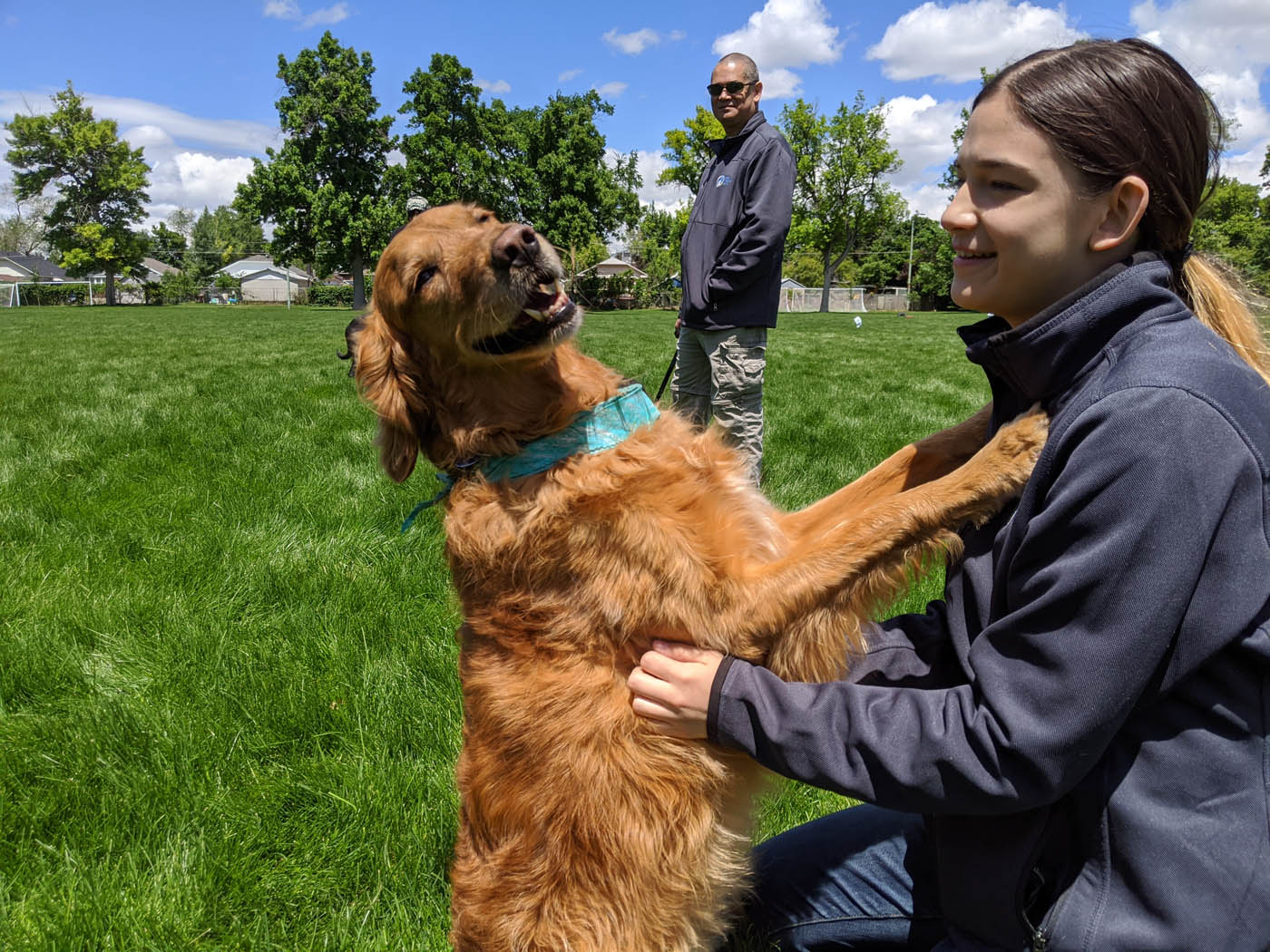 A therapy dog in training with Dog Training Elite Fort Wayne's expert handlers.