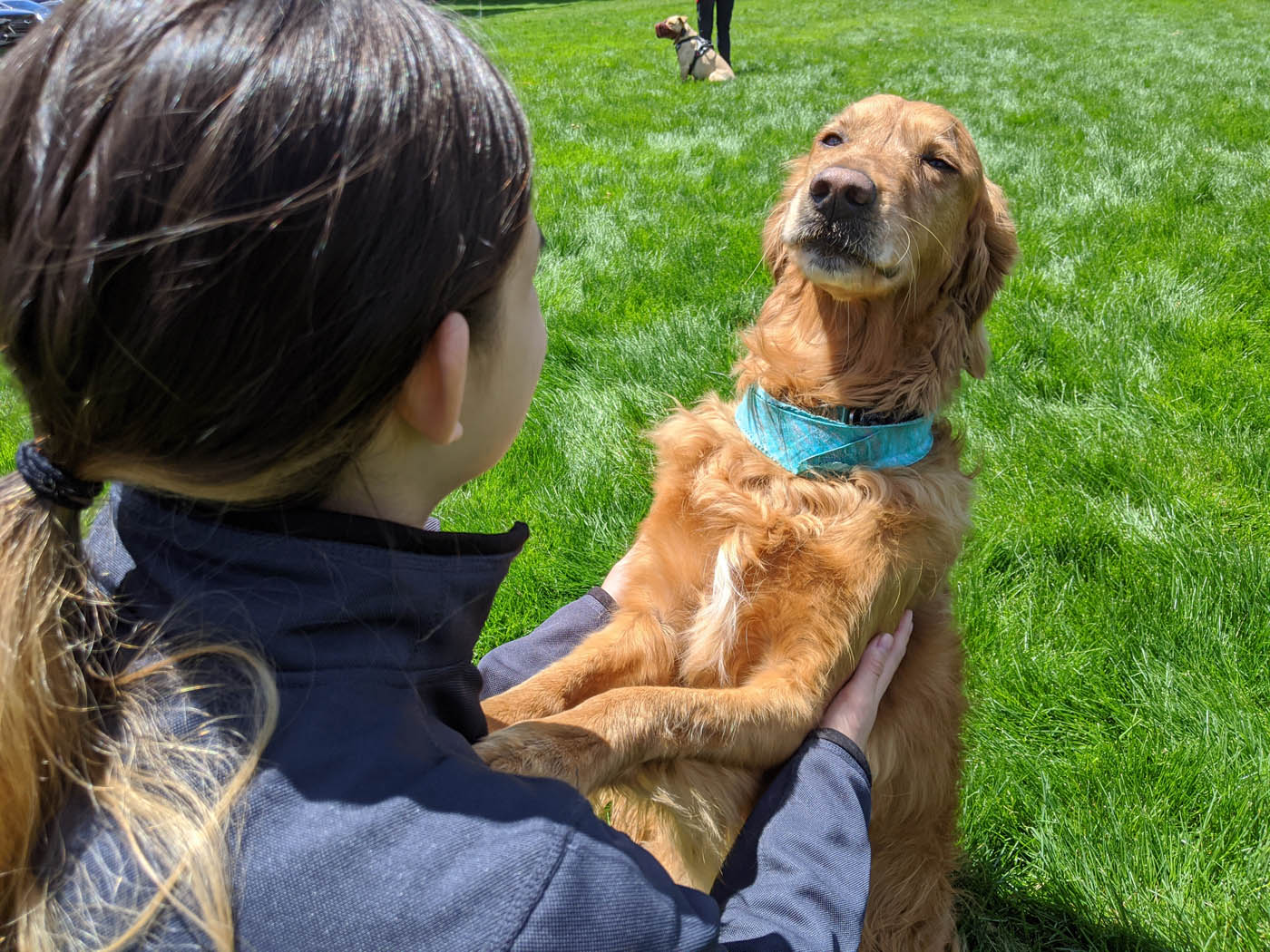 An adorable golden retriever and their owner - get your Fort Wayne aggressive dog training consultation today and take the first step towards a long-lasting relationship.