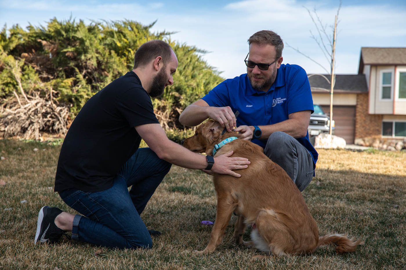 Dog Training Elite Northern Utah - Meet Our Elite Team. Dog Training Elite Northern Utah 