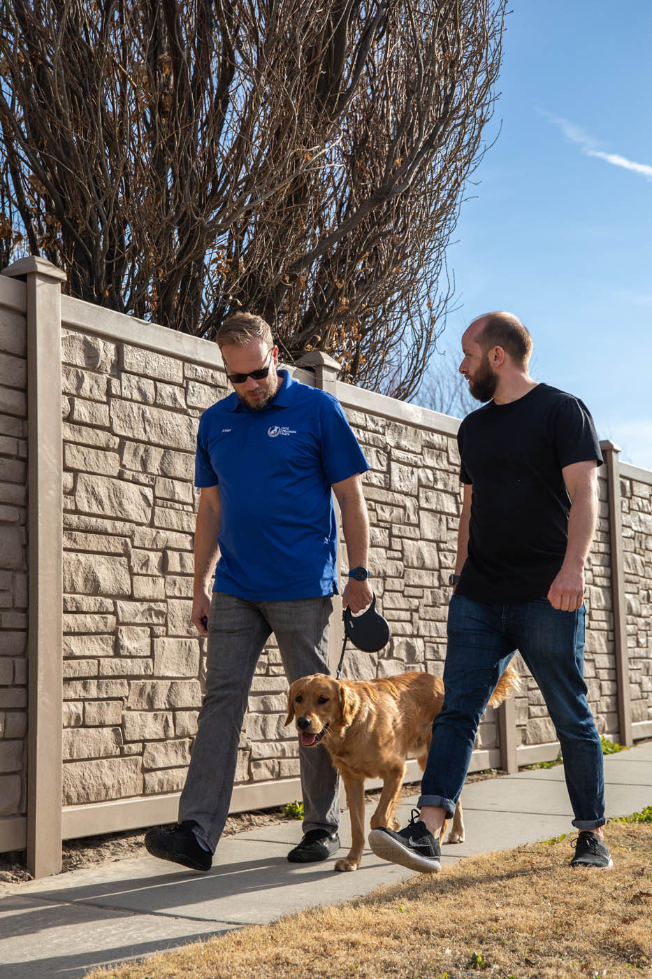 A Dog Training Elite trainer walking with his golden retriever.