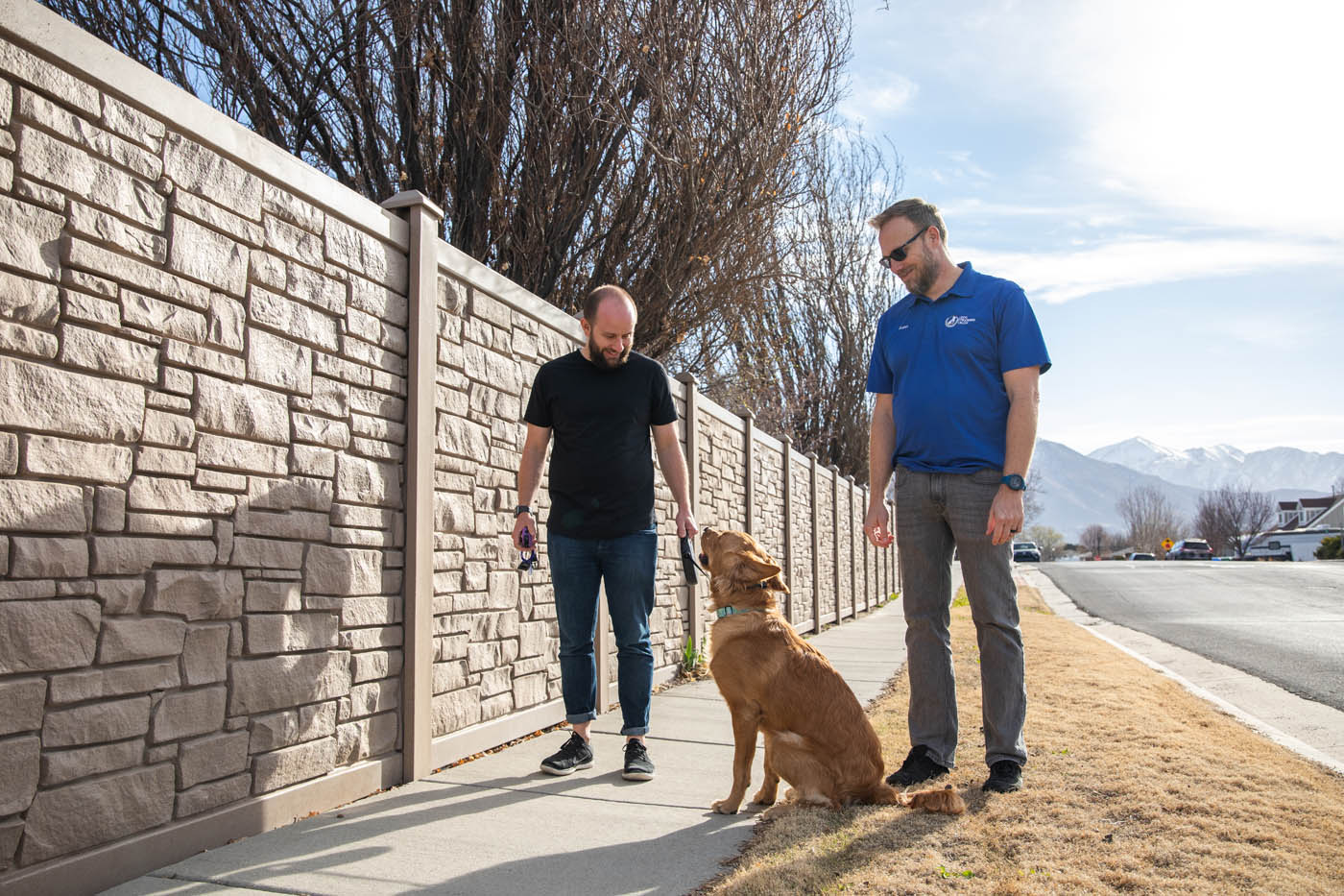 Dog Training Elite Northern Utah - Dog Training Elite. K9 Training in Davis / Weber County, UT