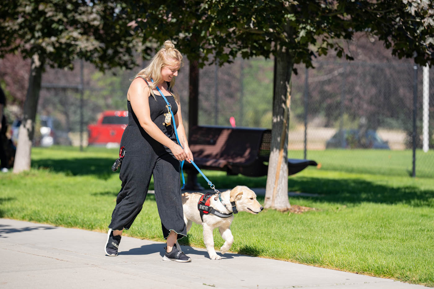 A psychiatric service dog in Boston, MA dog walking with their owner - contact Dog Training Elite today to learn more about our training!