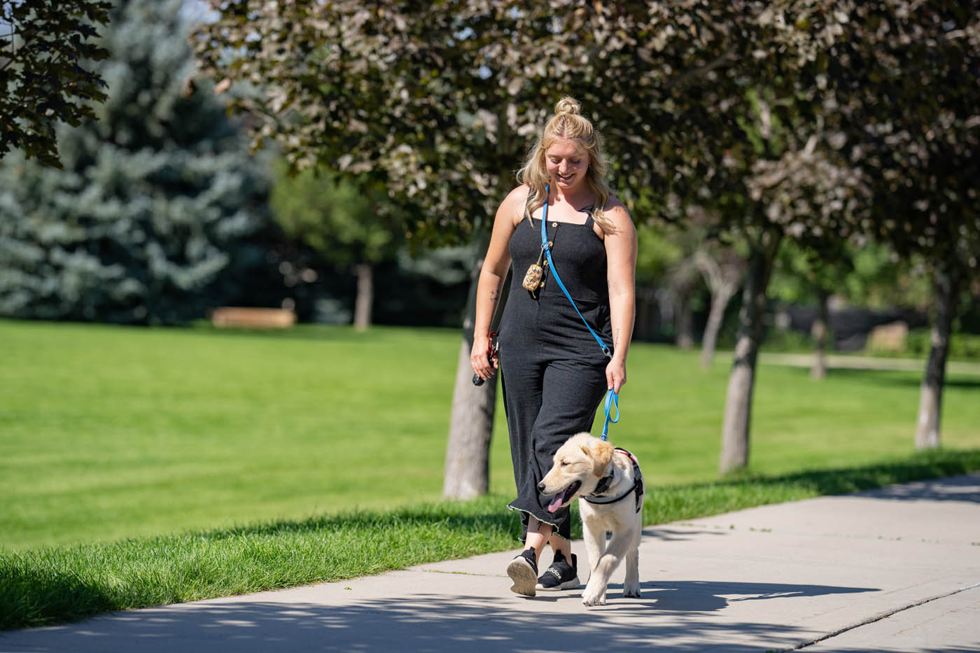 An owner and their Dog Training Elite Lowell / Chelmsford diabetic service dog walking through a park.