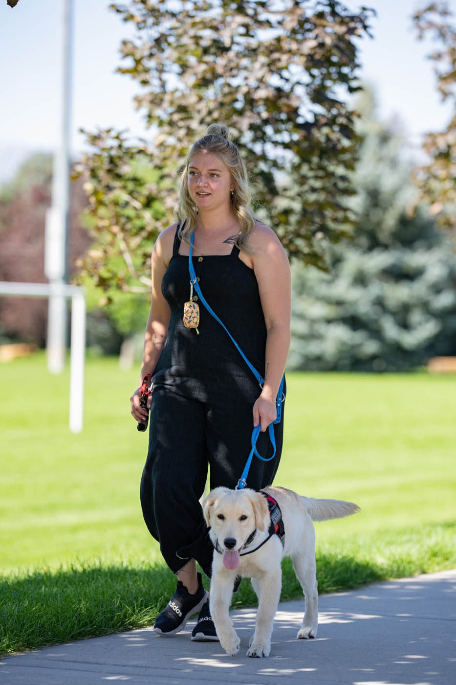 A woman walking with a service dog - Dog Training Elite can train your puppy or dog in Cincinnati, OH.