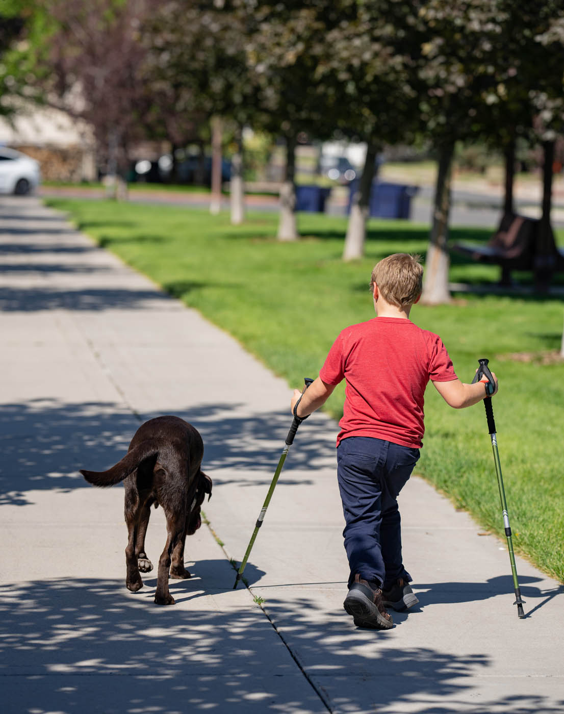 Mobility support service dog comforting owner - trained by Dog Training Elite in Gilbert, AZ.