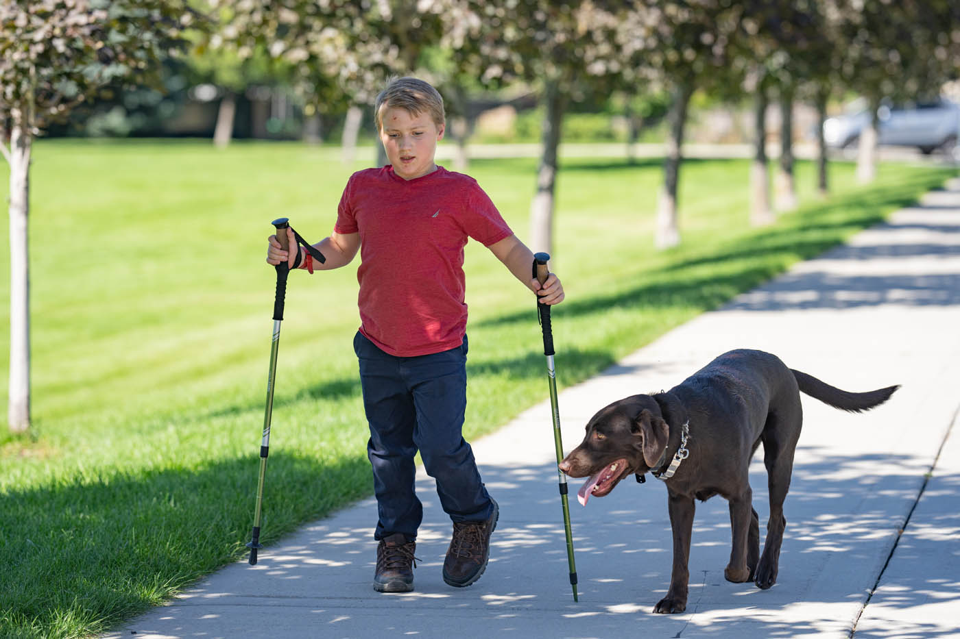 A boy walking with his mobility support service dog in Fort Wayne, IN - find professional training with Dog Training Elite Fort Wayne.