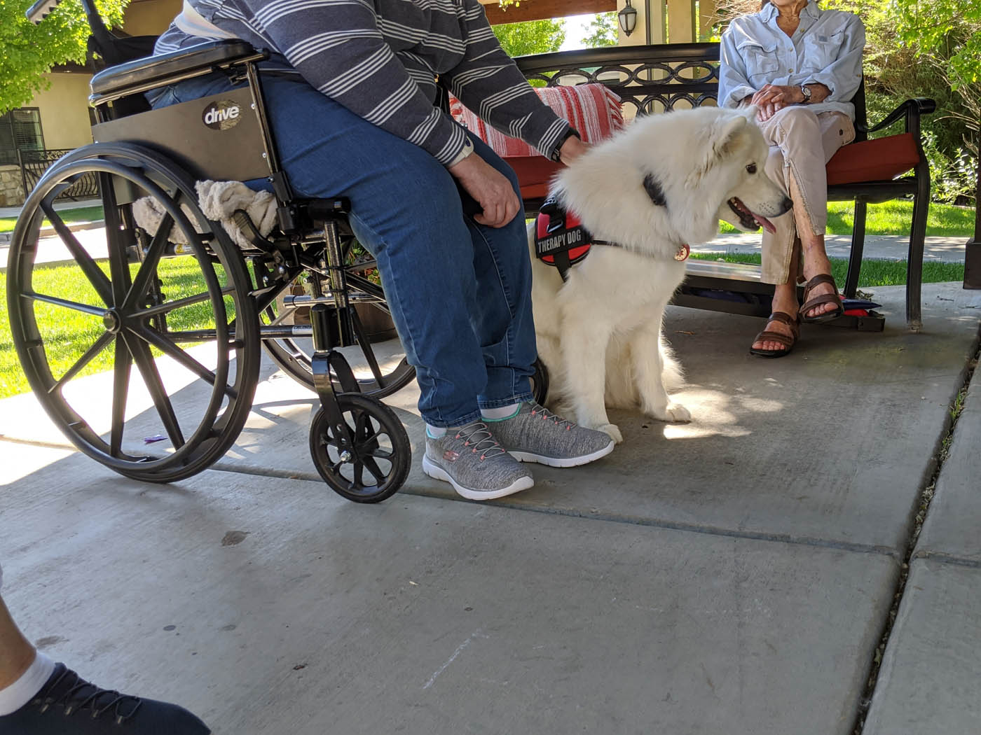 A mobility support service dog and their owner - choose Dog Training Elite for professional mobility service dog training in Tulsa, OK.