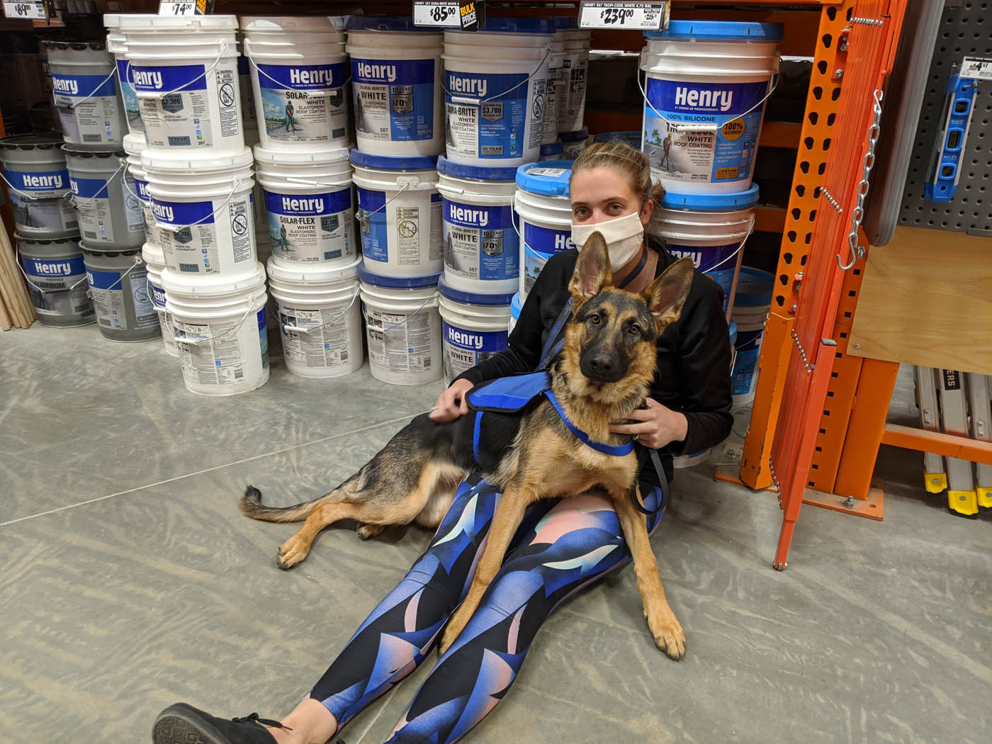 An owner with low blood sugar and their diabetic serivce dog sitting down.