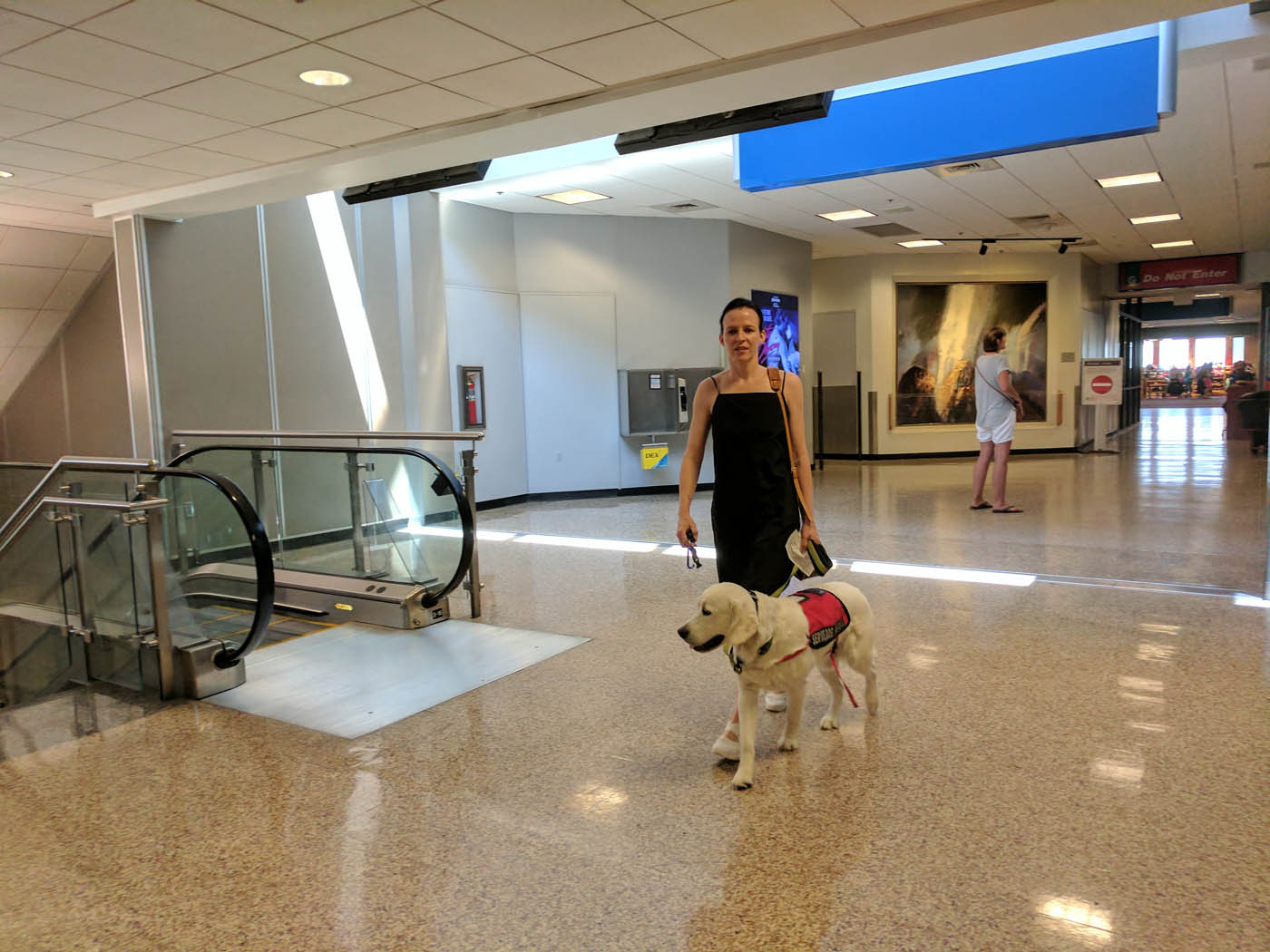 A service dog with their owner in a public airport area.