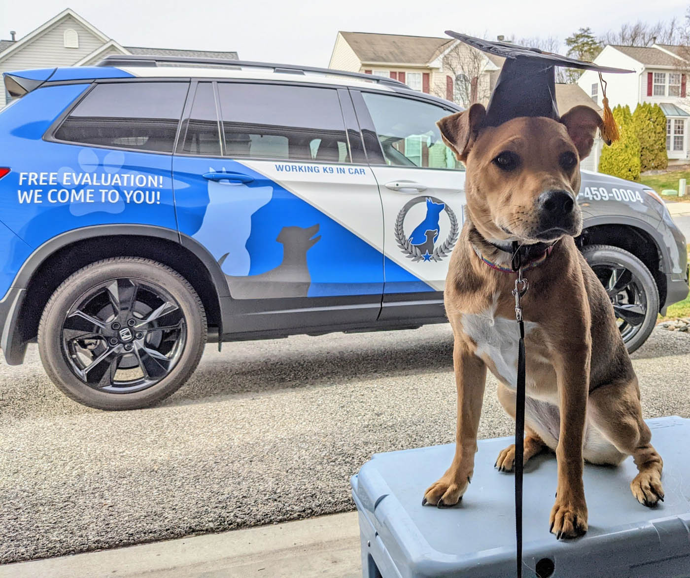 A recent dog graduate sitting in front of a Dog Training Elite Fort Wayne car, contact us today for positive dog training in Fort Wayne, IN. 