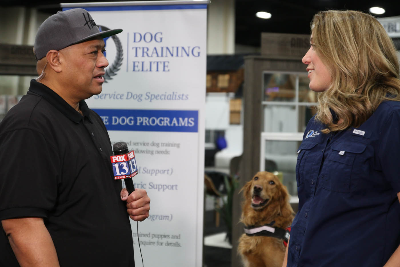 Dog Training Elite Northern Utah - Local Dog Trainers in Davis / Weber County, UT. DTE