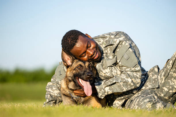 Spring Dog Trainer Deals 