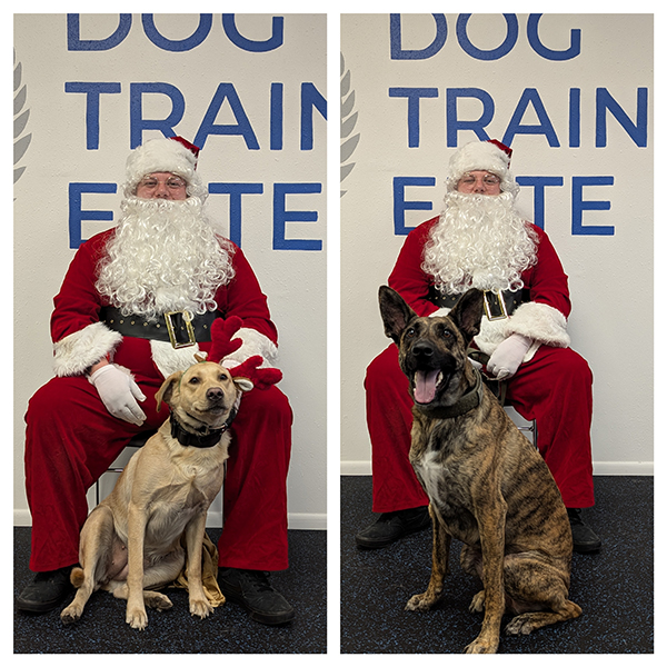 Suncoast Holiday Hours