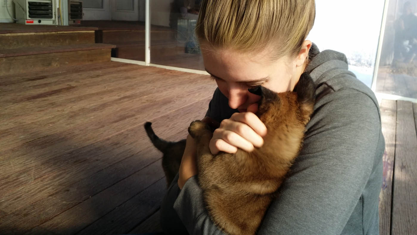 A Austin puppy trainers giving a puppy positive affirmation during an in-home training session.