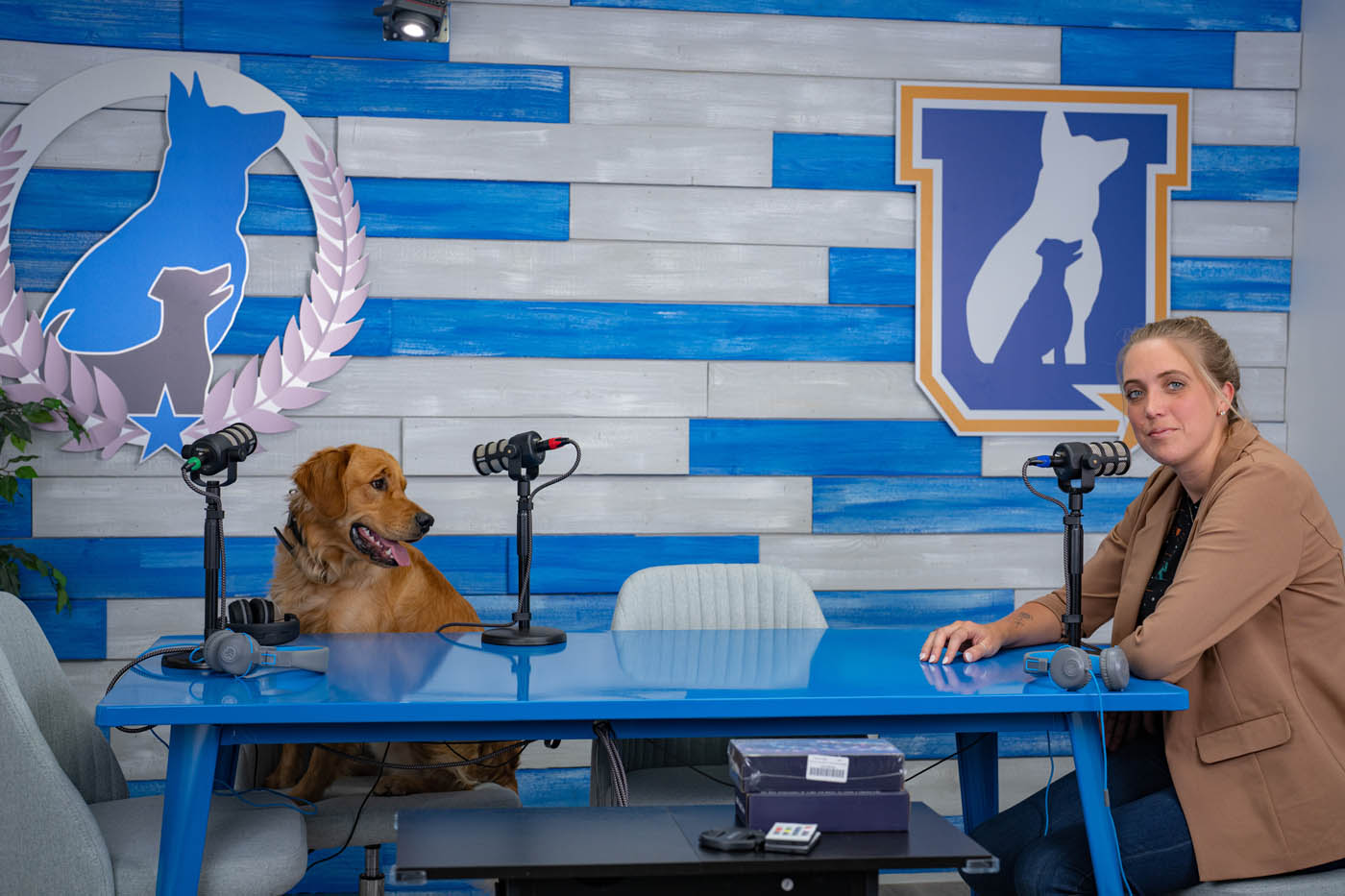 A DTE team member and dog waiting to participate in a podcast.